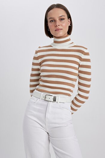 DeFacto Slim Fit Striped Turtleneck Knitwear Sweater A2059Ax23Au