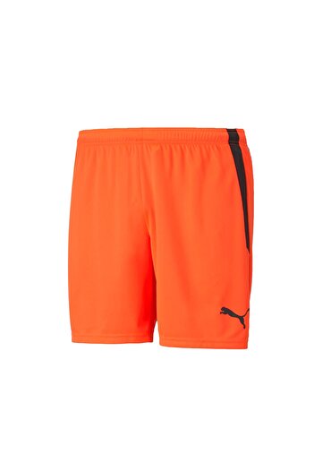 Puma Men's Football Shorts - Teamliga Shorts,70492445 Orange