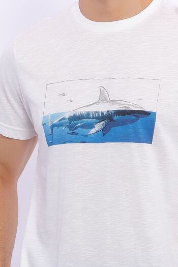 Arnetta Ανδρικό κοστούμι βερμούδας Dolphin Cream