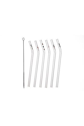 CAMBURADA CAMGEN Glass Straw Valentine's Day Special Printed Figured 8*200 Mm Curved Transparent 6-Piece Brush Set