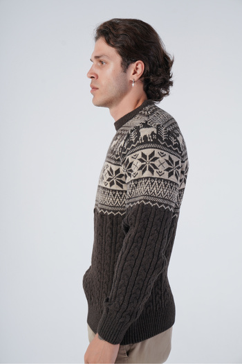 Trist Star Brown Men's Hair Braided Jacquard Deer Patterned Crew Neck Knitwear Wool Sweater