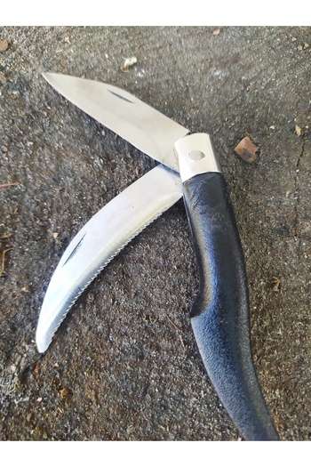 DİBA AVM tosya model Çift Ağızlı Testereli çakı Piknik Çakısı Kamp Bıçak Bıçağı Çakısı Outdoor Çakı 11 cm