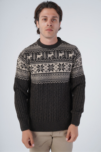 Trist Star Brown Men's Hair Braided Jacquard Deer Patterned Crew Neck Knitwear Wool Sweater