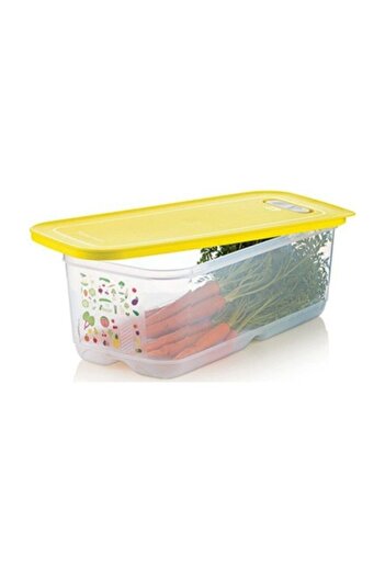 Tupperware Greenhouse Storage Container 6.1 Lt