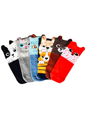Socks Stations Unisex Cat Dog Patterned Mixed Color Ankle Booties Socks Box of 6