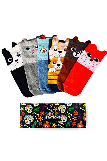 Socks Stations Unisex Cat Dog Patterned Mixed Color Ankle Booties Socks Box of 6