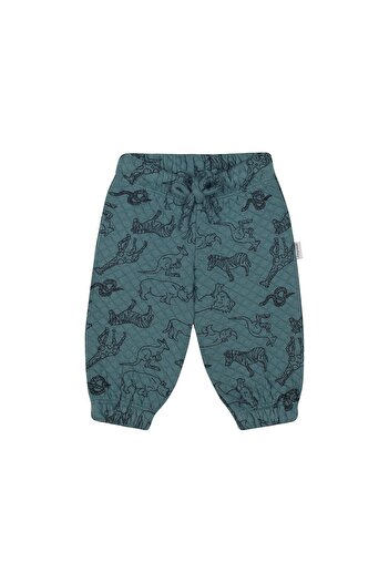Antebies Animal World Set with Quilted Tracksuit and Pants