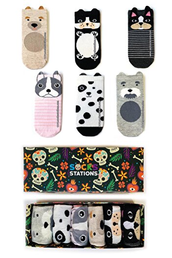 Socks Stations Unisex Black Gray White Animal Patterned Booties Socks Box 6 Pieces