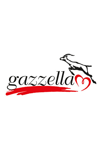 Gazella Super Mini 2030 Steam Generator Iron