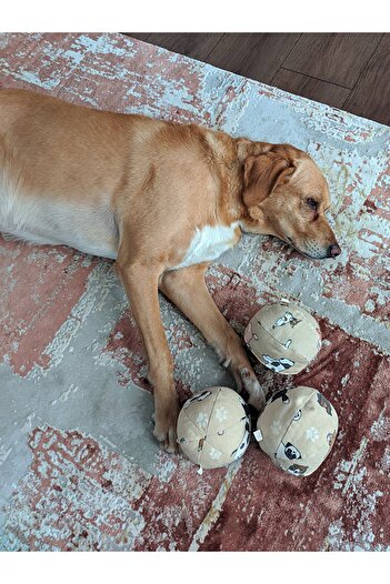 UTDpet Hoppie Sound Ball Dog Toy + Bestie Traction Bone Dog Toy