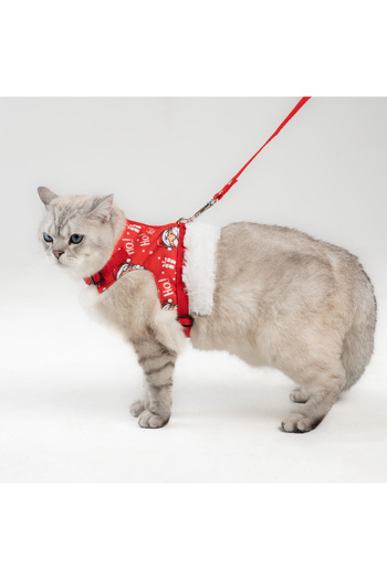 Patipatron Anti-Escape Cat Walking Leash and Small Breed Dog Walking Leash