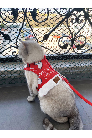 Patipatron Anti-Escape Cat Walking Leash and Small Breed Dog Walking Leash