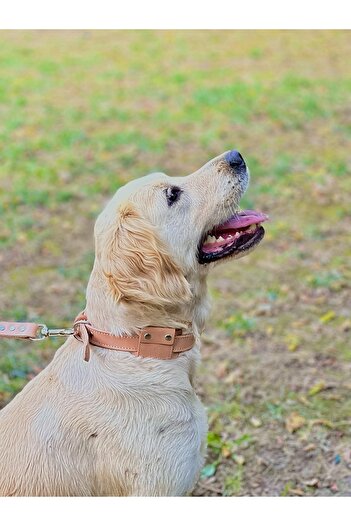 TB Leather Airtag Collar - Real Leather Collar and Airtag Case
