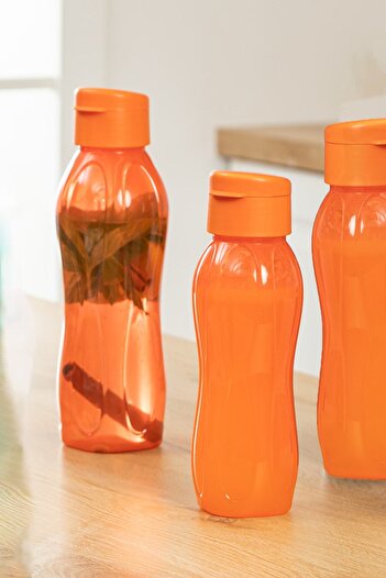 Turnberry 750ml Orange Sports and School Water Bottle, Student Water Bottle