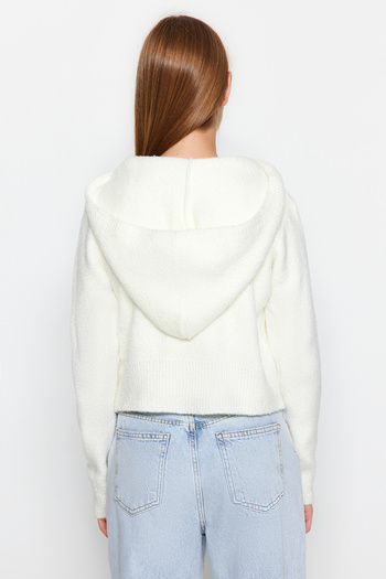 Trendyol Collection Ecru Crop Hooded Textured Zipper Knitwear Cardigan TWOAW24HI00370