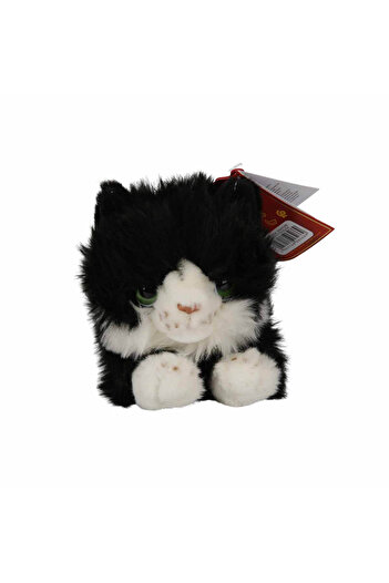 Sunman 25 cm Motif Lying Rainbow Cat Plush