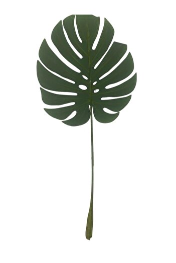 T.Concept Φύλλο Φοίνικα 82 cm Πράσινο A10269-08