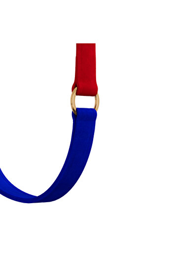 GoPawGo Sirius Plus Convertible Strap with Charm