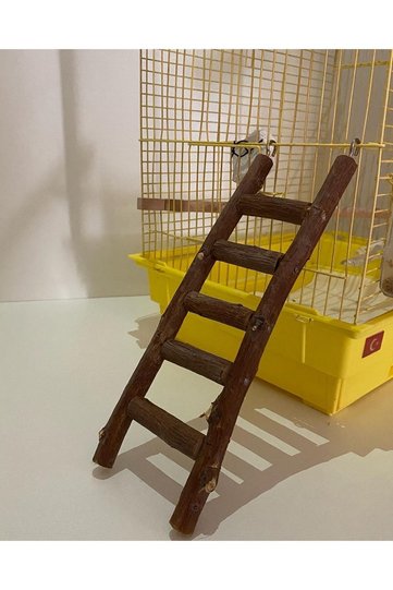 Natural Wooden Bird Ladder