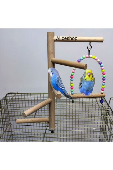 Cage top swing perch for budgie and birds of similar size