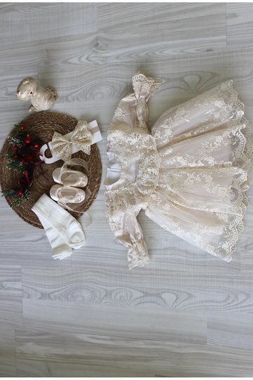 Barbosa Orchid Baby Girl Guipure Lace Dress Newborn Luxury Dress Set - Hospital Discharge and Religious Ceremony