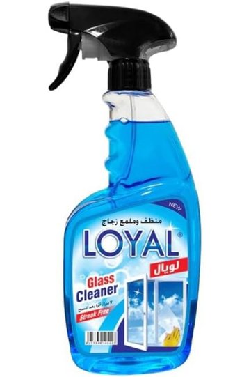 Streak-Free Ammonia-Free Glass Window Cleaner Trigger Spray (750ml)
