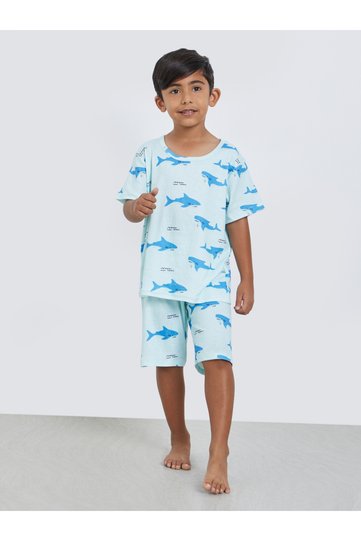 Shark Graphic Round Neck T-Shirt and Shorts Set