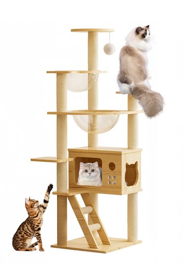 Cat House Cat Climbing Frame Cat Tree