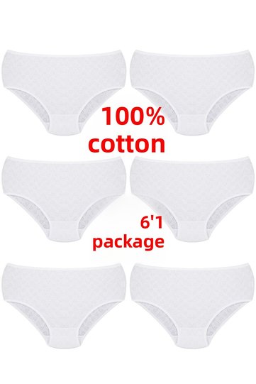 6 Pack 100% Cotton Heart High Waist Bato Women's Panties Ozt6100