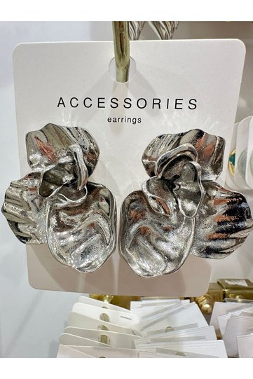 Zr Model Silver Flower Steel Earrings