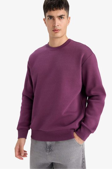 Relax Fit Crew Neck Thick Soft Fleece Basic Sweatshirt T5139Az25Au