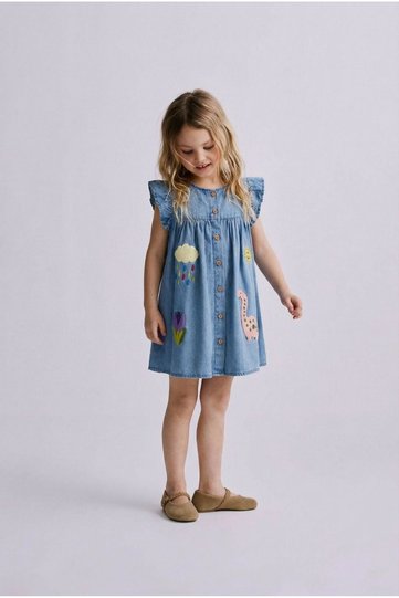 Embroidered Sleeves, Ruffled Denim Dress
