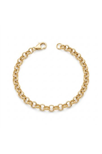 Thin Chain Stainless Steel Women's Bracelet Gold |   It Doesn'T Get Dark |   Special Boxed