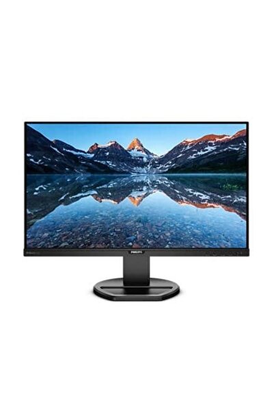 Philips Phılıps 252b9-00 25'' 1920x1200 5ms Siyah Dp-hdmı Ips Kurumsal Monitör