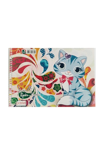 Pastel 17x25 Resim Defteri Kedicik