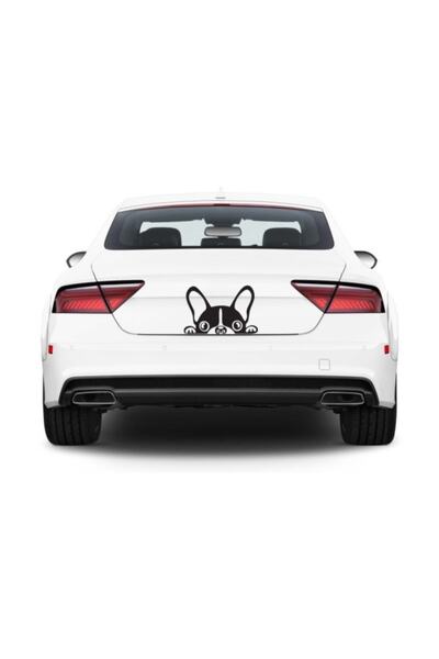 TSC Autocolant pentru mașină pentru câine Autocolant de vinil