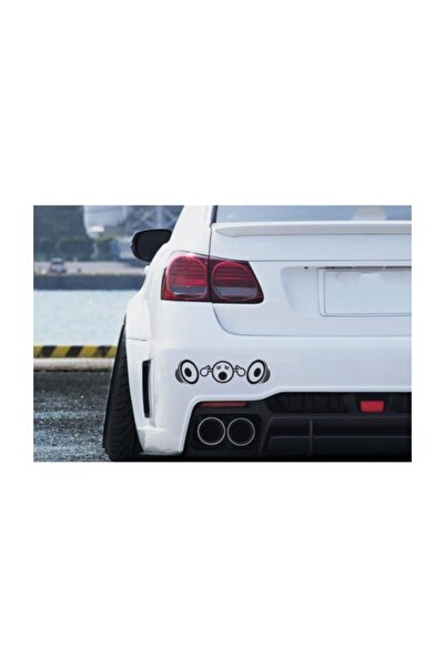 TSC Yüksek Ses Hoparlor Resmi Sticker Araba Stickerı Yapıştırma