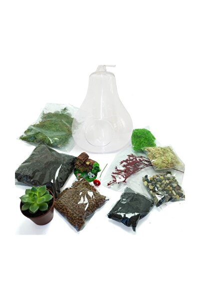 Genel Markalar Teraryum Başlangıç Kiti