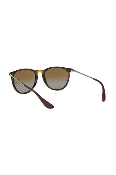 Ray-Ban Erika (Rb4171 - 710/t5) Polarized Sunglasses