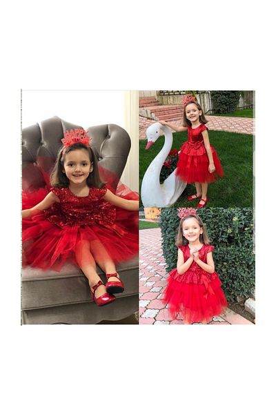Delfini kids Girl's Red Birthday, Tulle Evening Dress