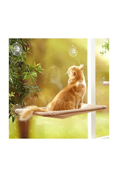 Sweet Cat Bed Cushion Hanging on Glass Cat House Cushion