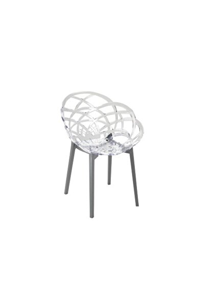 Papatya Flora Koltuk - Antrasit Gövde & Transparan Şeffaf Font