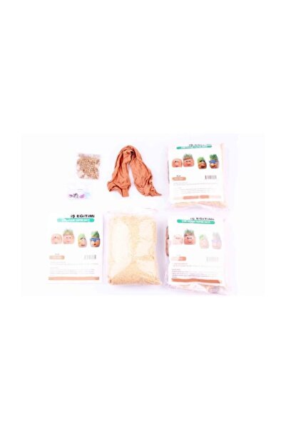 Dünya Magnet Çim Adam Yapım Seti Eğitim Deney Seti Malzemeleri