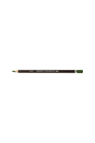 Derwent Graphitint Water Soluble Colored Drawing Pen 11 Ivy