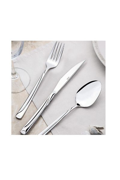 Nehir Fiesta Dessert Spoon - 12 Pack Dessert Spoons