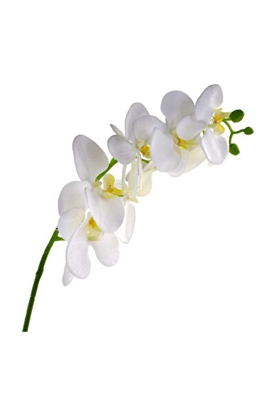 Nettenevime Yapay Çiçek Beyaz Islak Orkide Uzun Dal 90 Cm Orkide