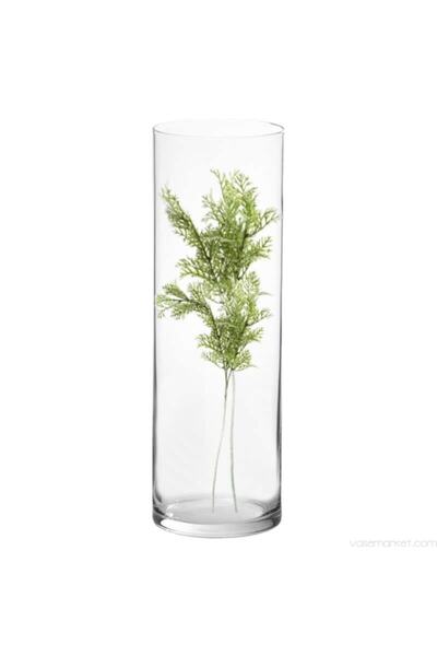 GLASSY Silindir Cam Vazo (15cm Çap-30cm Yükseklik)