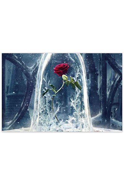 Cakatablo Ahşap Tablo Güzel Ve Çirkin Sembolik Kırmızı Gül -35-50 Cm