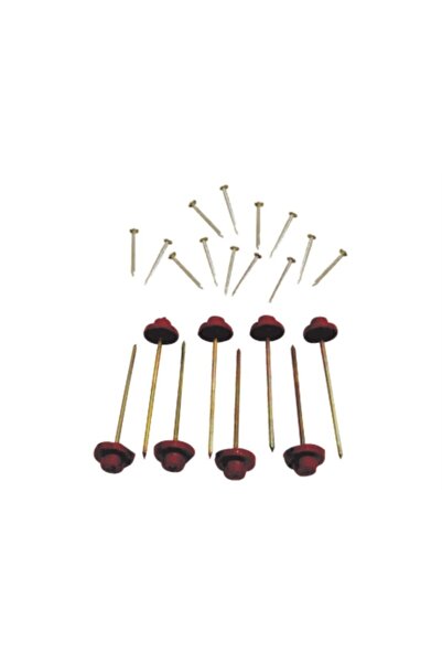 Marka Ondulin-onduline Çatı Çivisi 10 Cm (400 Adet)