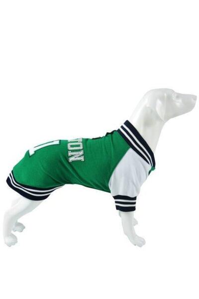 Lindodogs College Boston Köpek Sweatshirt No: 1